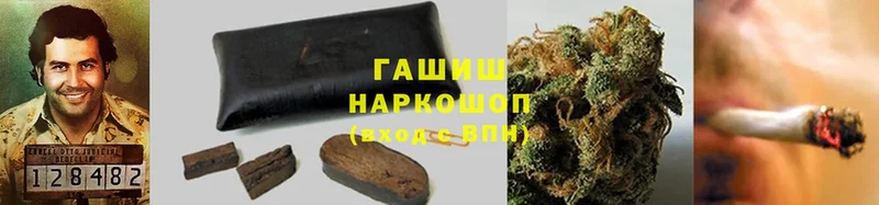 закладки  Богородицк  Гашиш Cannabis 