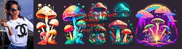 индика Ростов