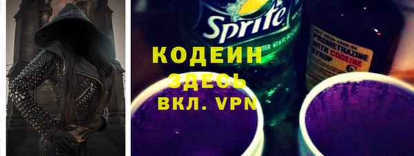 индика Ростов
