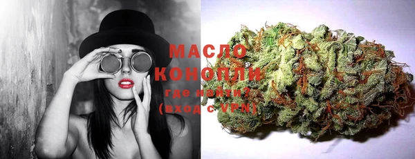 индика Ростов
