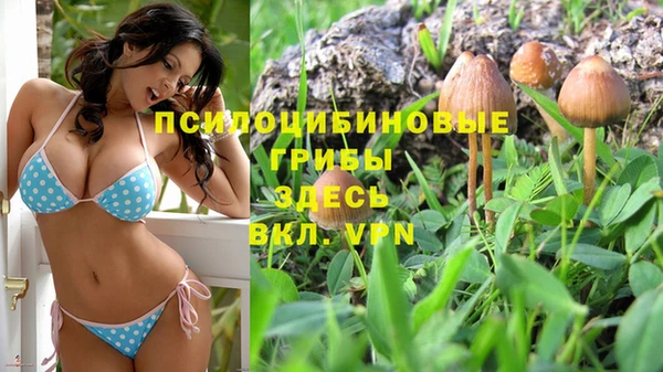 ALPHA-PVP Рославль
