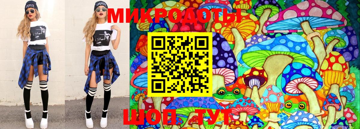 дарнет шоп  Богородицк  Псилоцибиновые грибы MAGIC MUSHROOMS  Псилоцибиновые грибы ЛСД 