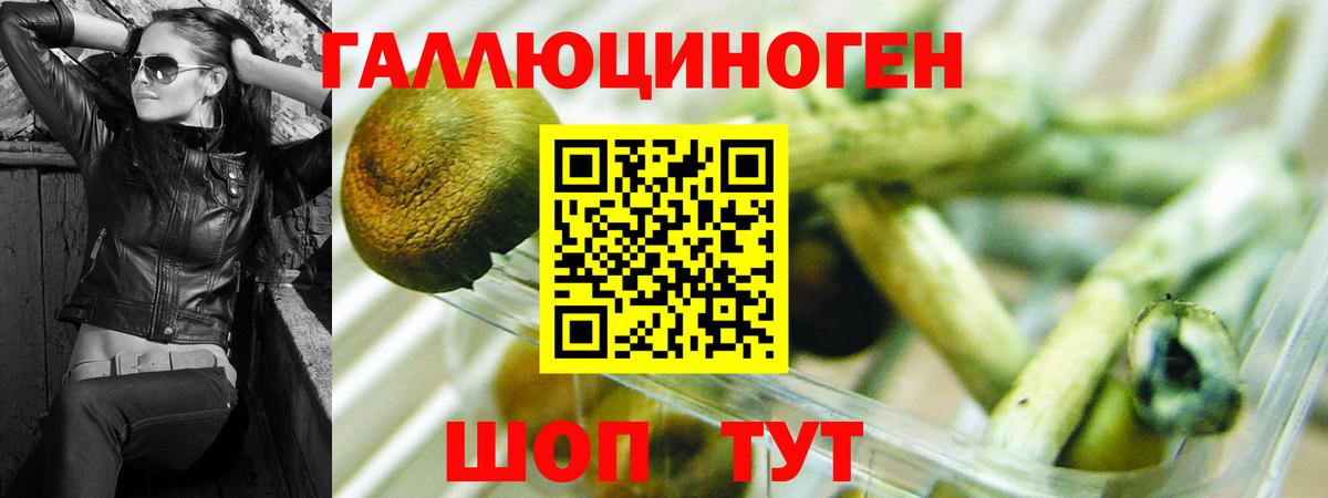Богородицк  Псилоцибиновые грибы прущие грибы  Вход с VPN 