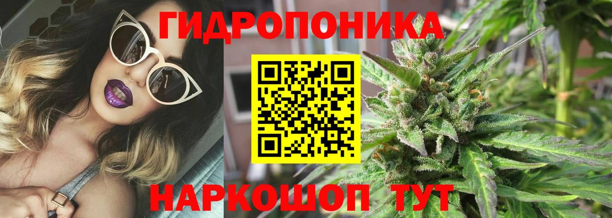 МАРИХУАНА семена Богородицк